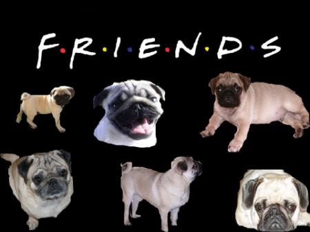 Friends