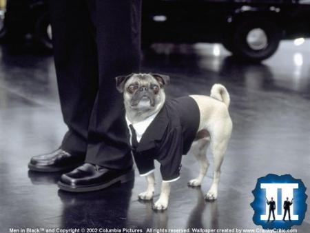 Men In Black.