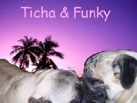 Ticha et Funky
