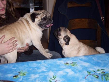 Rencontre avec Ticha.