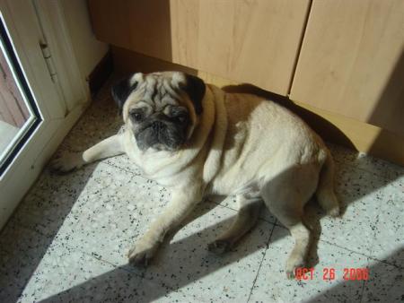 Bronzette !!