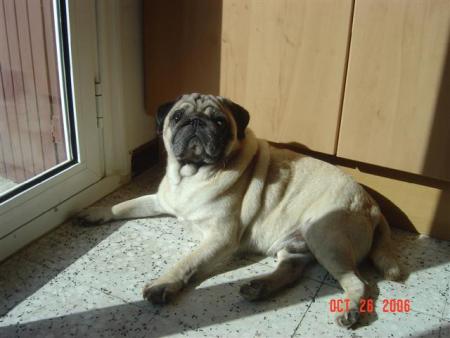 Bronzette !!