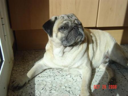 Bronzette !!